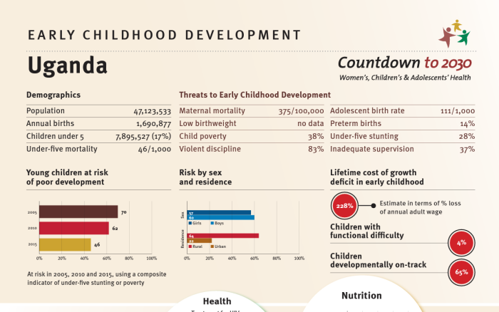 Countdown to 2030 Women’s, Children’s, and Adolescent’s Health